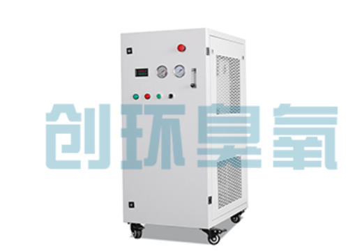 黑龙江石斑鱼养殖水质调控完整指南:臭氧发生器配置与操作步骤