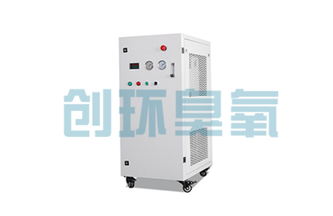 黑龙江比传统换水更高效?臭氧发生器在石斑鱼养殖中的水质净化原理解析